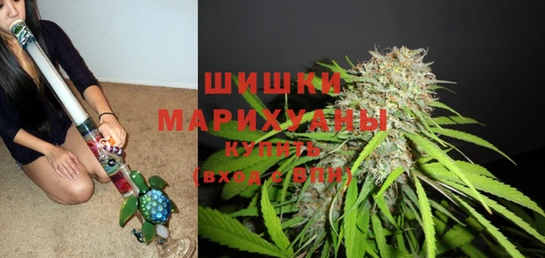 круглые Бородино