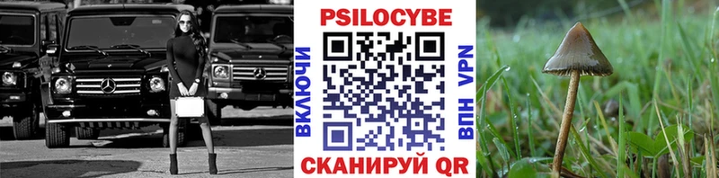 как найти наркотики  Ефремов  Галлюциногенные грибы GOLDEN TEACHER 